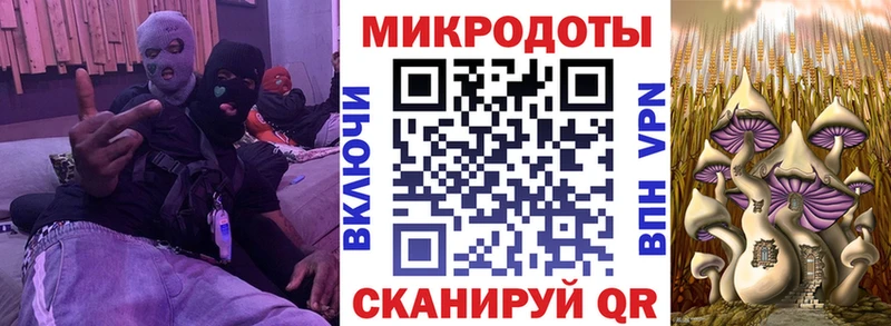 KRAKEN маркетплейс  Гаврилов-Ям  Псилоцибиновые грибы Magic Shrooms 