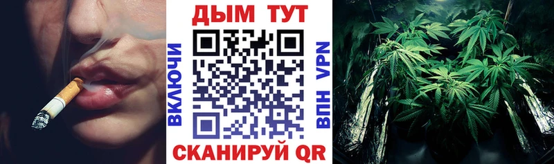 Каннабис план  сколько стоит  Гаврилов-Ям 